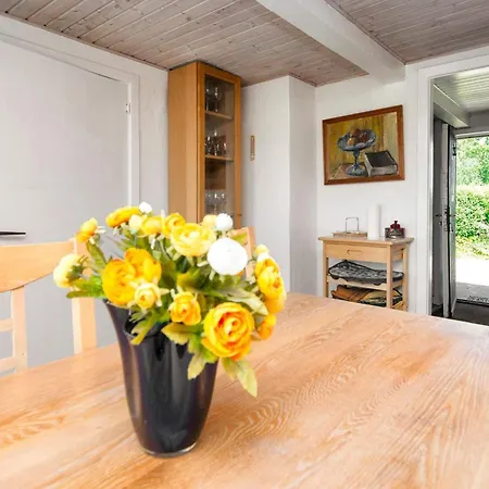 Tatil Evi 6 Person In Ringkobing-by Traum Ringkøbing
