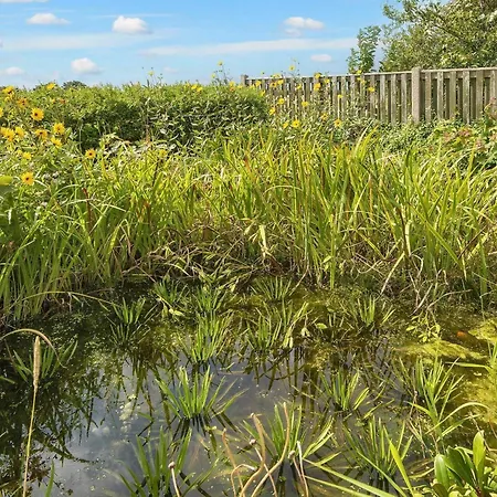 6 Person In Ringkobing-by Traum *