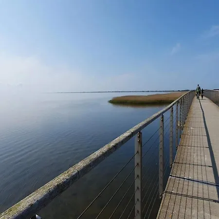 Tatil Evi 6 Person In Ringkobing-by Traum Ringkøbing