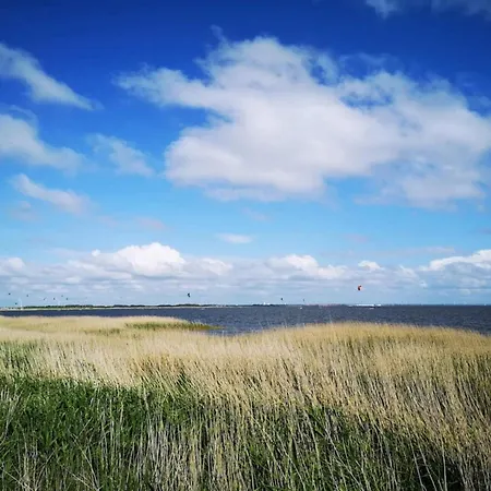 Tatil Evi 6 Person In Ringkobing-by Traum Ringkøbing