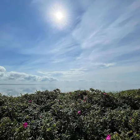 6 Person In Ringkobing-by Traum Tatil Evi Ringkøbing