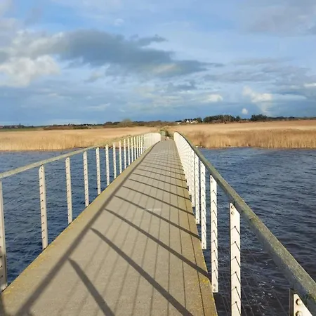 Tatil Evi 6 Person In Ringkobing-by Traum