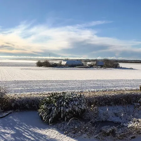 6 Person In Ringkobing-by Traum Tatil Evi