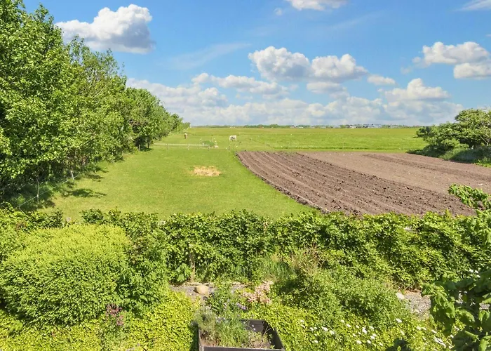 Vakantiehuis 6 Person In Ringkobing-by Traum *