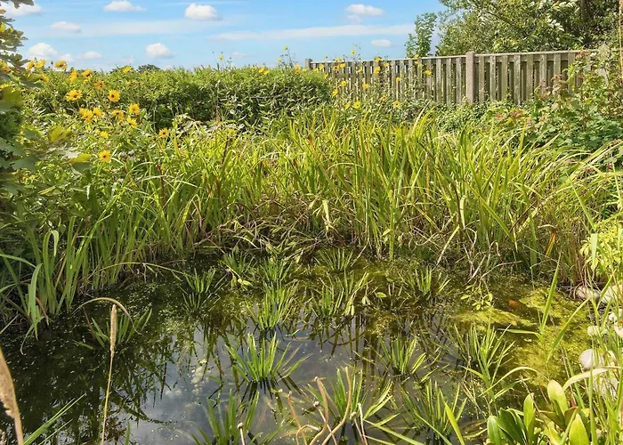 6 Person In Ringkobing-by Traum *