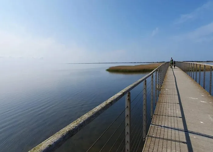 Vakantiehuis 6 Person In Ringkobing-by Traum Ringkøbing