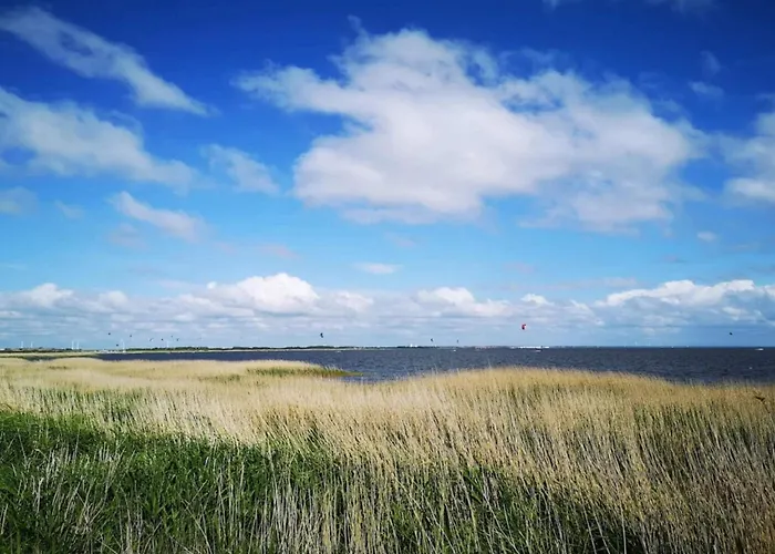 Vakantiehuis 6 Person In Ringkobing-by Traum Ringkøbing