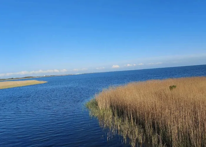 Vakantiehuis 6 Person In Ringkobing-by Traum