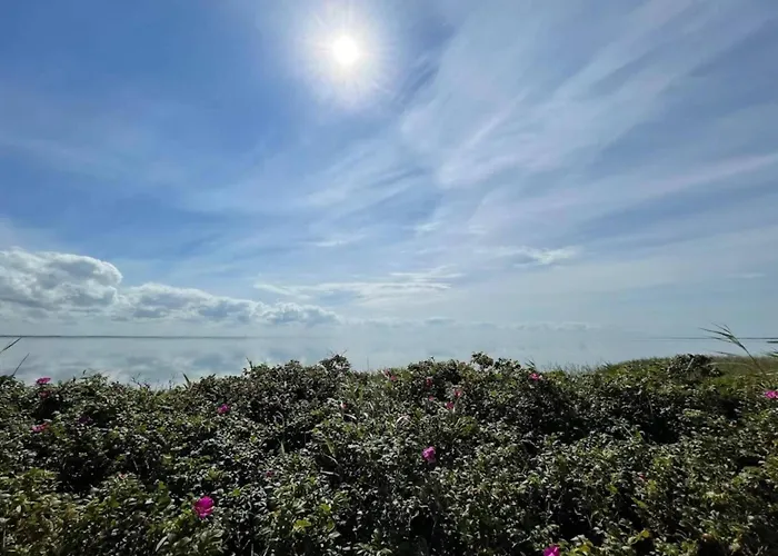 6 Person In Ringkobing-by Traum Vakantiehuis Ringkøbing