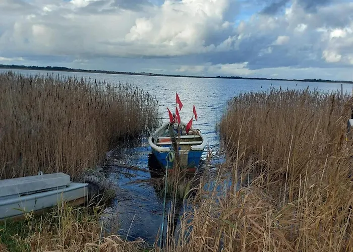 Vakantiehuis 6 Person In Ringkobing-by Traum *